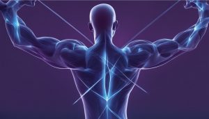 L Glutamine