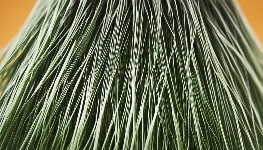 La biotine pour des cheveux en bonne santé